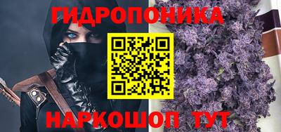 эйфоретик Краснодар